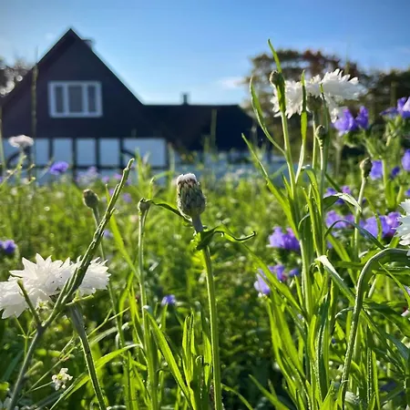 Feriehus Ilkka - 220m From The Sea By Interhome *